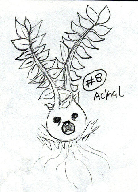 Ackal