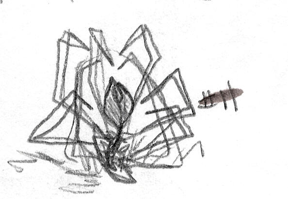 Dead spider-like flower