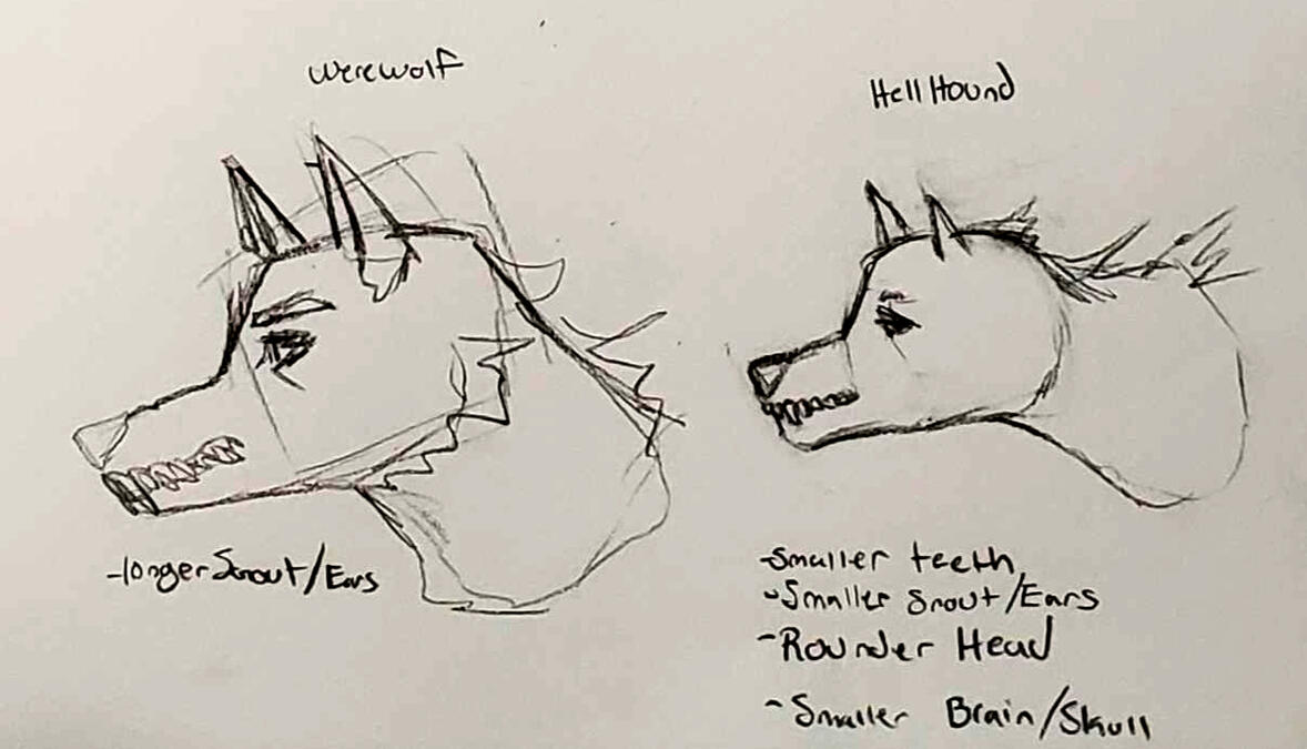Werewolf and Hellhound head comparison