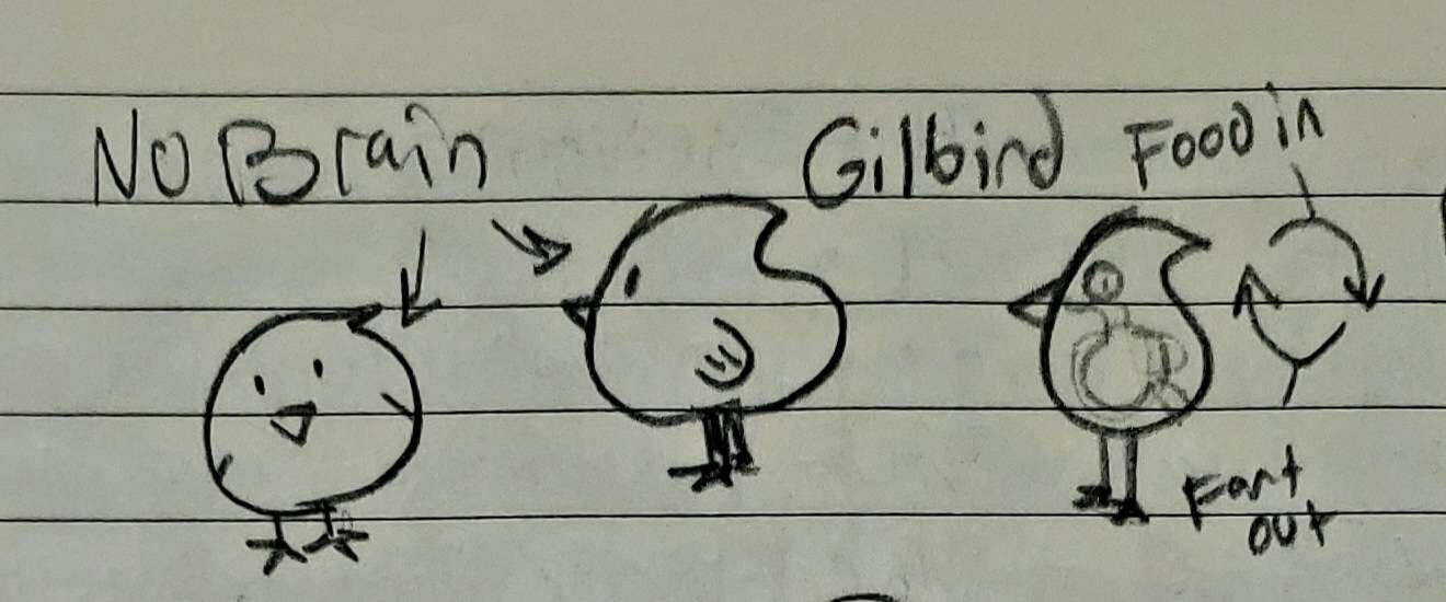 Gillbird concepts 2